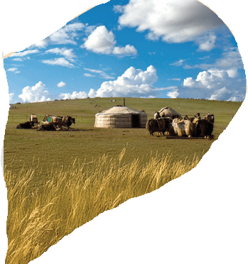 6.3.1-3. Öğrenme Alanı-Ortak Mirasımız- Türkistanda Kurulan İlk Türk Devletlerinin Medeniyetimize Katkıları Ders Notu